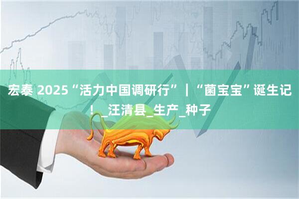 宏泰 2025“活力中国调研行”｜“菌宝宝”诞生记！_汪清县_生产_种子