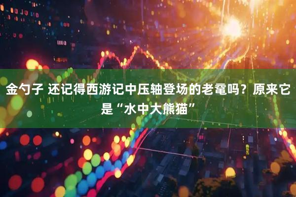 金勺子 还记得西游记中压轴登场的老鼋吗？原来它是“水中大熊猫”