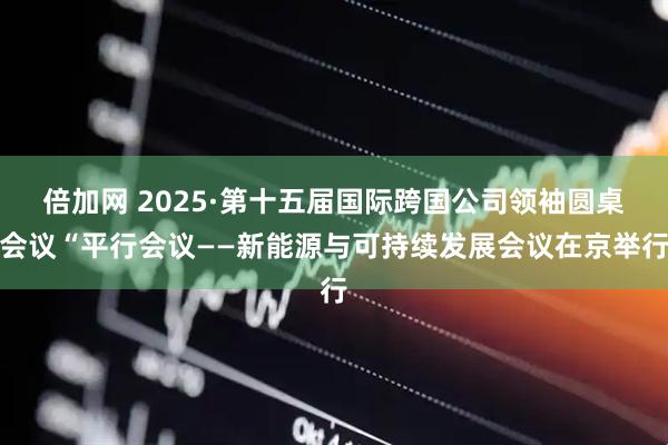 倍加网 2025·第十五届国际跨国公司领袖圆桌会议“平行会议——新能源与可持续发展会议在京举行